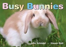 Busy bunnies busy for sale  LONDON