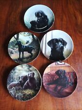Plates wedgwood black for sale  MAIDSTONE