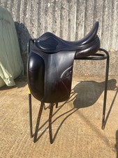 Amerigo cortina dressage for sale Amerigo cortina dressage for sale  BASINGSTOKE