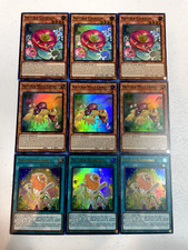 Usado, yugioh naturia camellia naturia abençoing naturia mole críquete mp23 super S060 comprar usado  Enviando para Brazil
