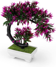 Bonsai künstlich kunststoff gebraucht kaufen  Ehlscheid, Kurtscheid, Melsbach