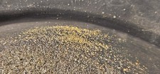 Rich gold paydirt for sale  Juneau