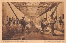 Richon zion palestine for sale  USA