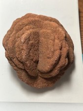 barite rose for sale barite rose for sale Santa Clarita