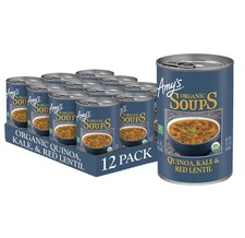 Amy soup vegan for sale  Brentwood