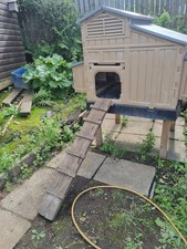 Clever coop chickens for sale  NEWBRIDGE