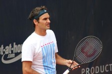 Rare wilson roger for sale  Danville