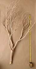 Manzanita branches for sale  LONDON