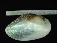 Huge vintage iridescent for sale  Pottstown