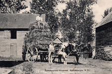 Manahawkin press farm for sale  Greenwich