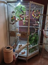 Large corner parrot for sale  HEMEL HEMPSTEAD