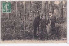 Landes chasse palombe d'occasion  France