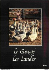 Trades goose feeder d'occasion  Expédié en Belgium