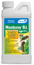 Monterey pint bacillus for sale  Alhambra