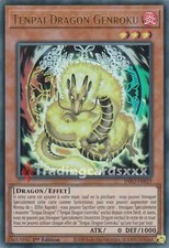 Tenpai dragon genroku d'occasion  France