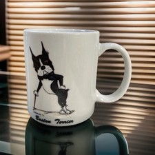 Krazy designs boston for sale  Burke