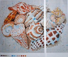 Kaffe fassett shells for sale  WIGTON