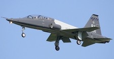 Northrop T-38 Talon Advanced Trainer aeronave mogno forno madeira modelo grande novo comprar usado  Enviando para Brazil