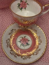 Paragon english bone for sale  East Hampstead