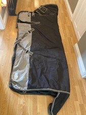6ft rinegold horse for sale  EASTLEIGH