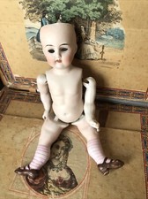 antique doll bisque 1894 for sale antique doll bisque 1894 for sale Mentor