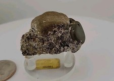Authentic mineralized snake for sale  Belleville