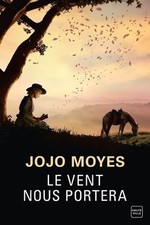 Vent portera jojo d'occasion  Hennebont