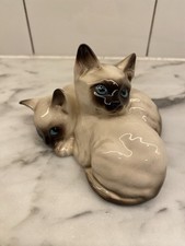 siamese kittens for sale siamese kittens for sale Sacramento