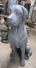 Large outdoor labrador for sale  ELLESMERE PORT