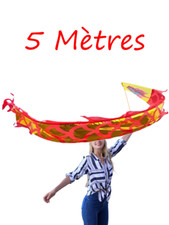 Ruban danse dragon d'occasion  Perpignan-