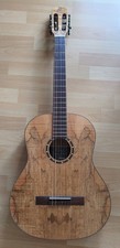 Gitarre rtega gebraucht kaufen  Rodgau