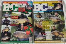 Vintage big carp for sale  REDHILL