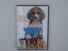 Hundebabys various hunde gebraucht kaufen  Seesen