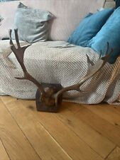 mounted deer antlers for sale  WIRRAL