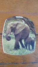 Sticker 1973 amis d'occasion  Calonne-Ricouart