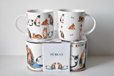 Symphony cat mug for sale  SPALDING