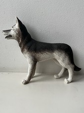Vintage male husky for sale  LITTLEHAMPTON