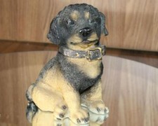 Vtg rottwiler puppy for sale  Louisville
