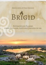 Brigid entfache flamme gebraucht kaufen  Ohlsbach