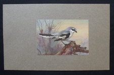 Vintage print great for sale  HAYLING ISLAND