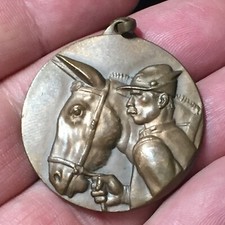 Medaglia alpini adunata usato  Verona