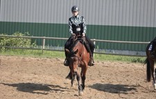 Showoutfit blouse western gebraucht kaufen  Frauenau
