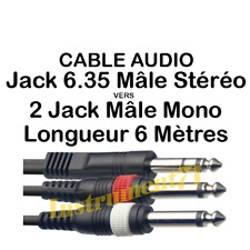 Câble jack mâle d'occasion  Gueugnon