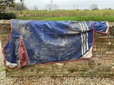 Premier equine lucanta for sale  CRAWLEY