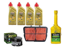 Kit tagliando triumph usato  Italia
