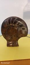 Ammonite fossile polie d'occasion  Le Plessis-Robinson