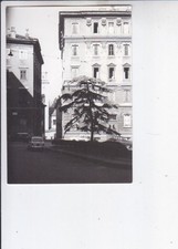 Photo trieste 60s for sale  Shipping to United Kingdom
