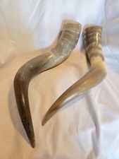 Set vintage bull for sale  Caldwell