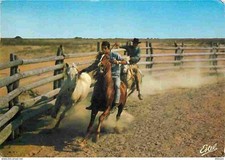 Animaux chevaux camargue d'occasion  Fruges