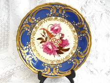Coalport rose auricula for sale  HEREFORD